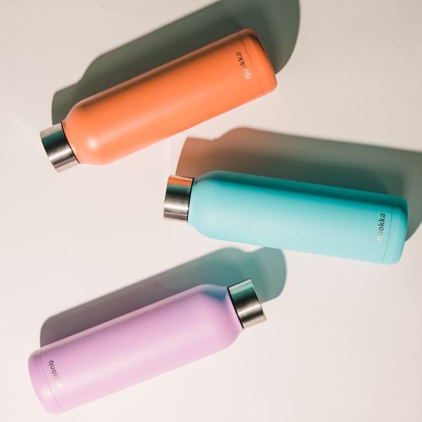 Insulated water bottle
